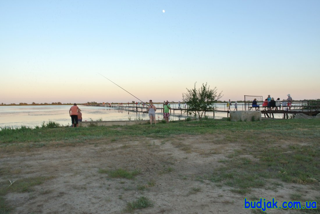 База отдыха Плай - территория. Курорт Рассейка. Фото N 7741. 2016 год